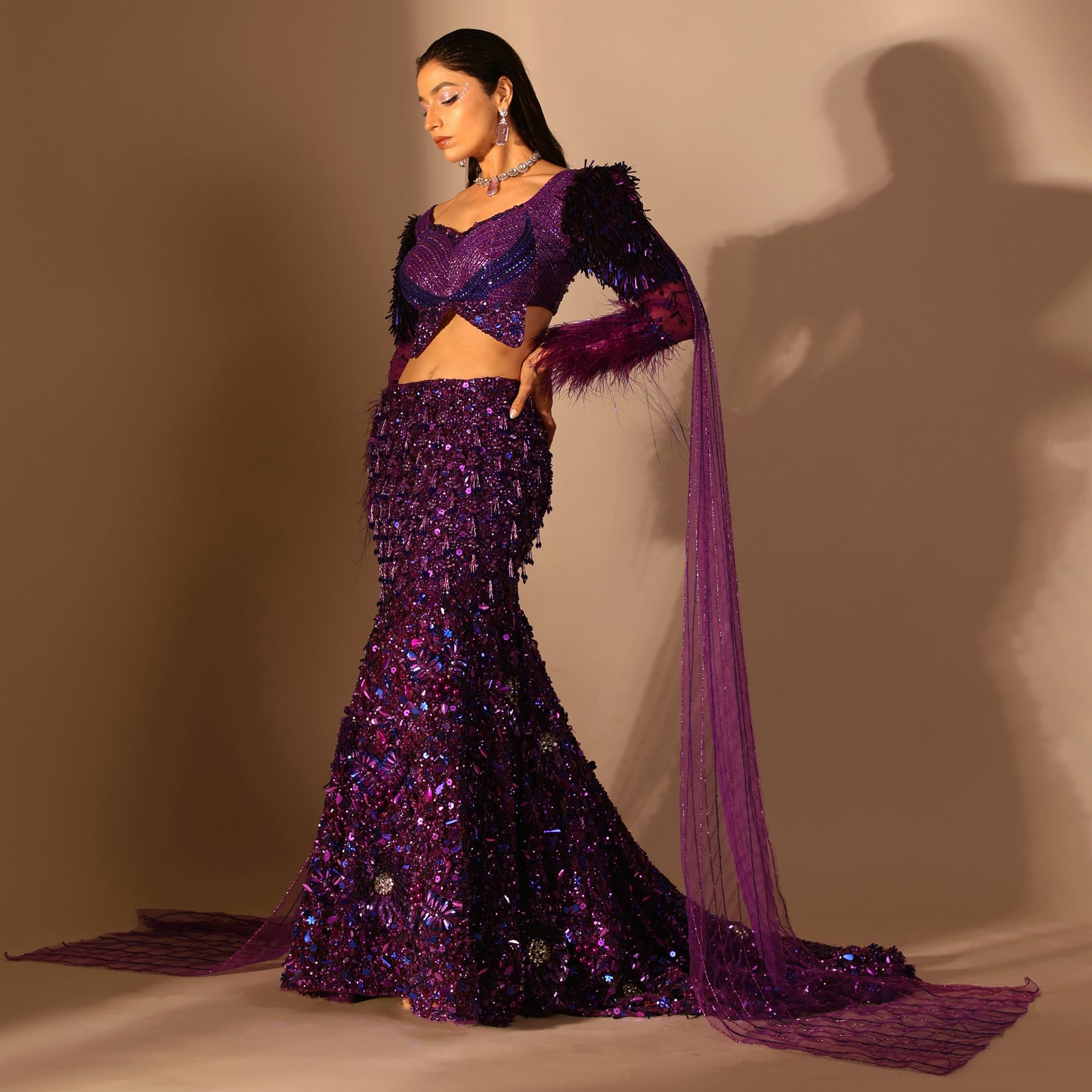 Stardust Lehenga Set