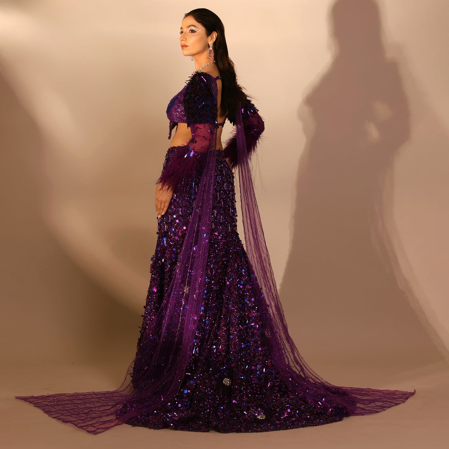 Stardust Lehenga Set