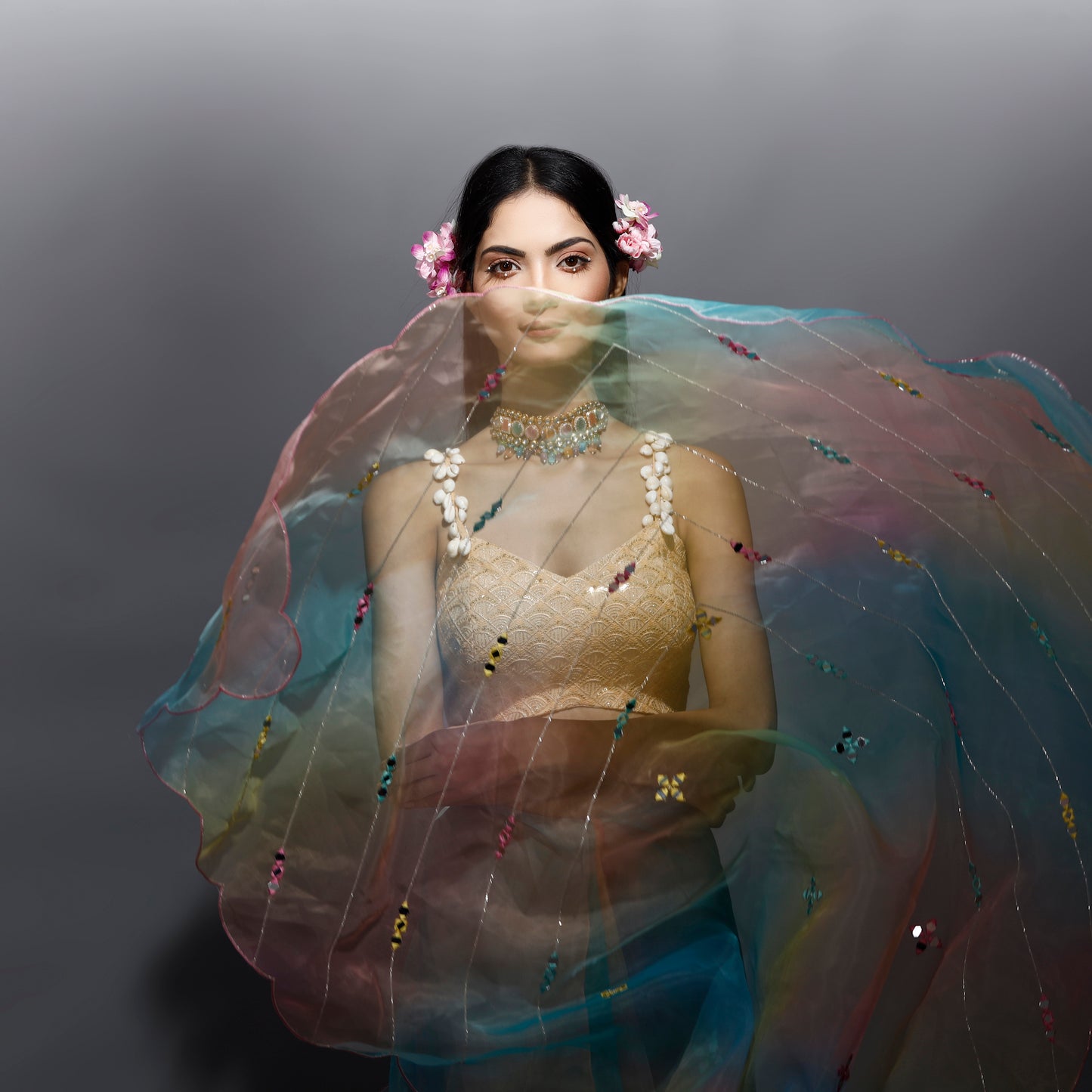 Multi colour organza saree