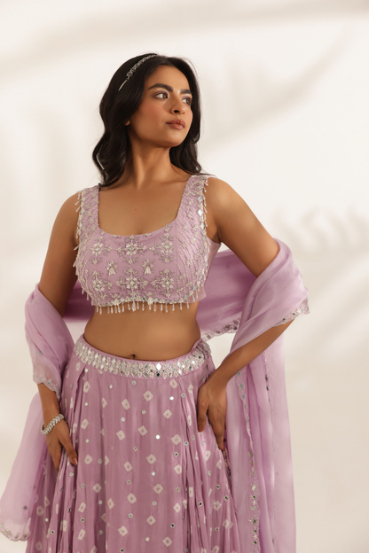 Chamkeeli Lehenga Set