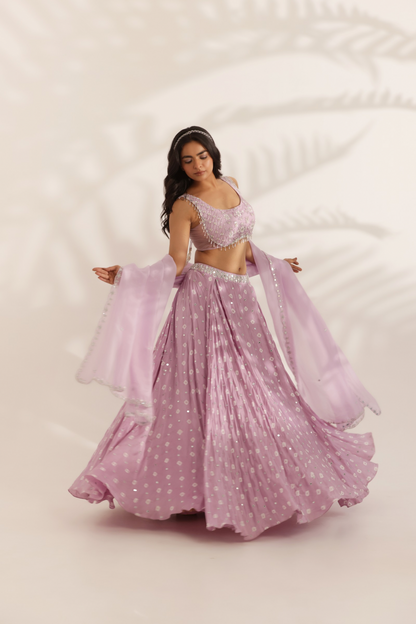 Chamkeeli Lehenga Set