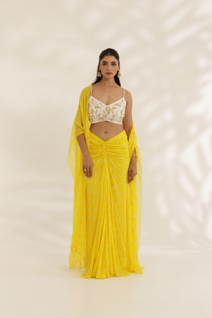 Kanira Drape Skirt set