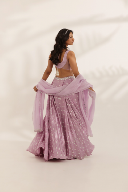 Chamkeeli Lehenga Set