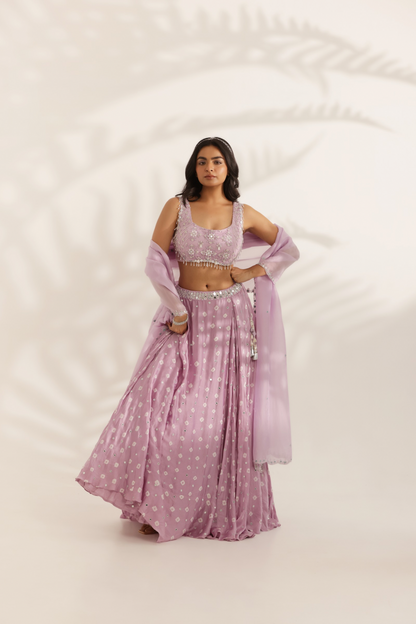Chamkeeli Lehenga Set