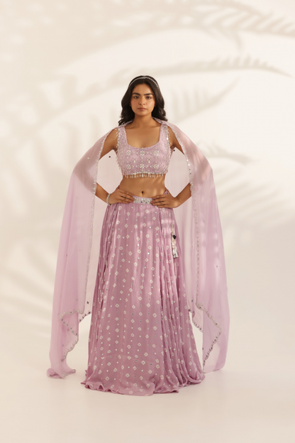 Chamkeeli Lehenga Set