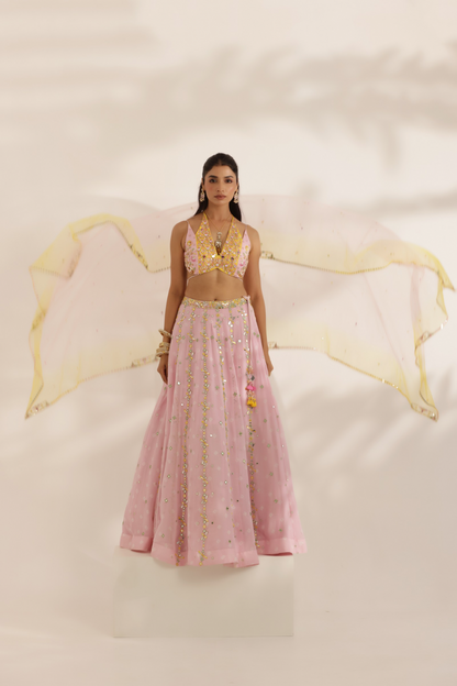 Noorani Lehenga Set