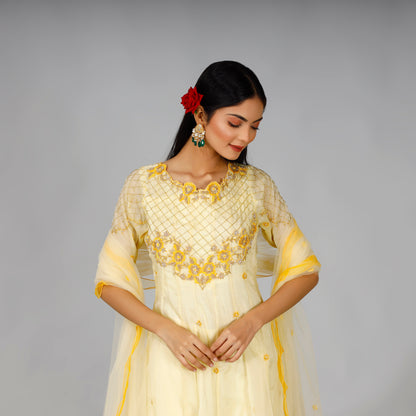 Pastel Yellow Embroidered Anarkali Set